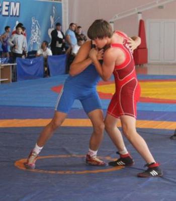В Михайлове прошли соревнования открытого первенства области по греко-римской борьбе